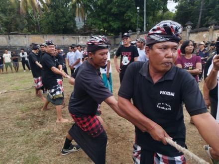 TARIK TAMBANG TINGKAT DESA  ADAT 